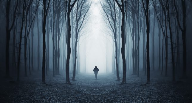 man in a dark forest